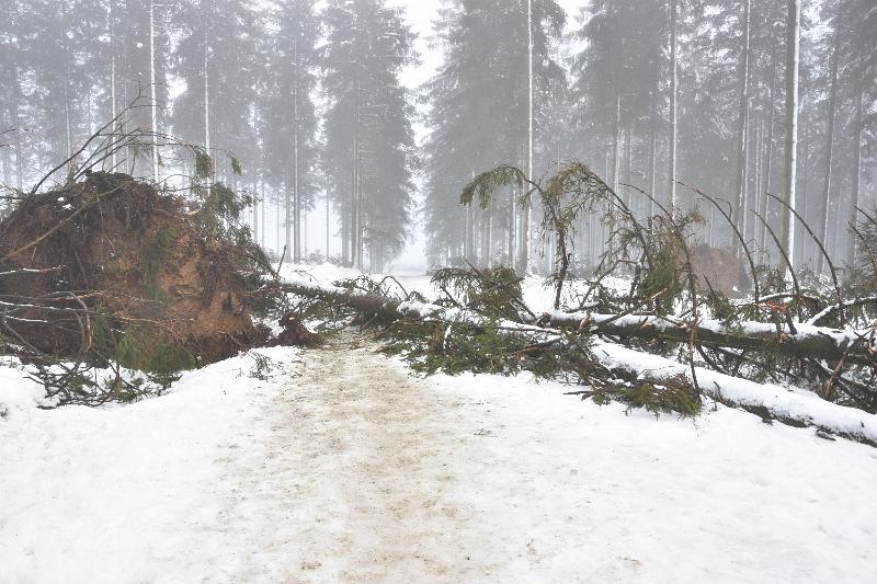 11.jpg - Rondje door de sneeuw