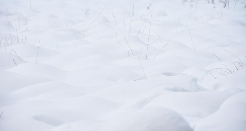 12.jpg - Rondje door de sneeuw