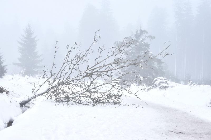 13.jpg - Rondje door de sneeuw