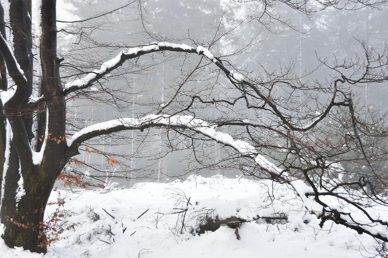 15.jpg - Rondje door de sneeuw