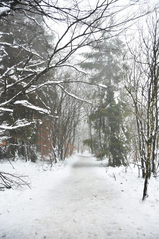 2.jpg - Rondje door de sneeuw