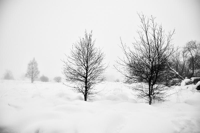 3.jpg - Rondje door de sneeuw