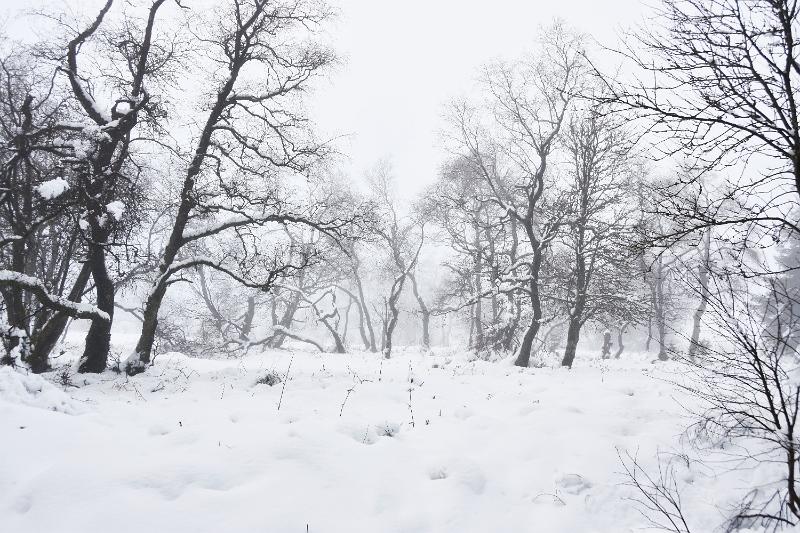 4a.jpg - Rondje door de sneeuw