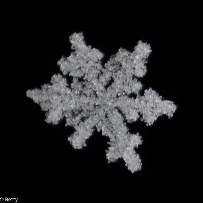 sneeuwkristal (1 van 7).jpg - Sneeuwkristallen