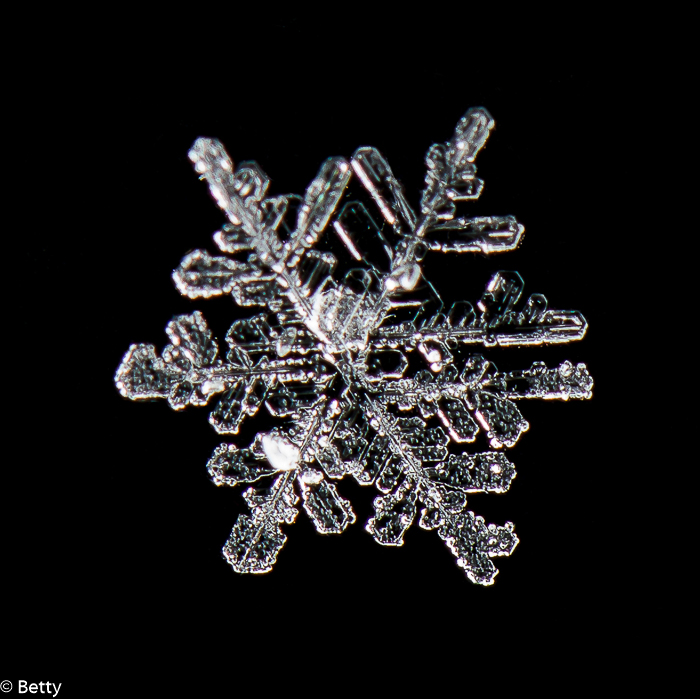 sneeuwkristal (3 van 7).jpg - Sneeuwkristallen