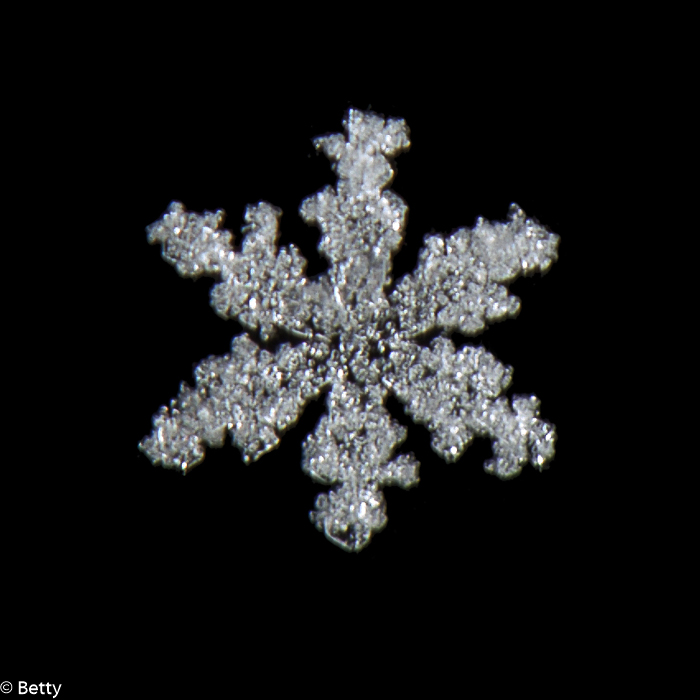 sneeuwkristal (5 van 7).jpg - Sneeuwkristallen