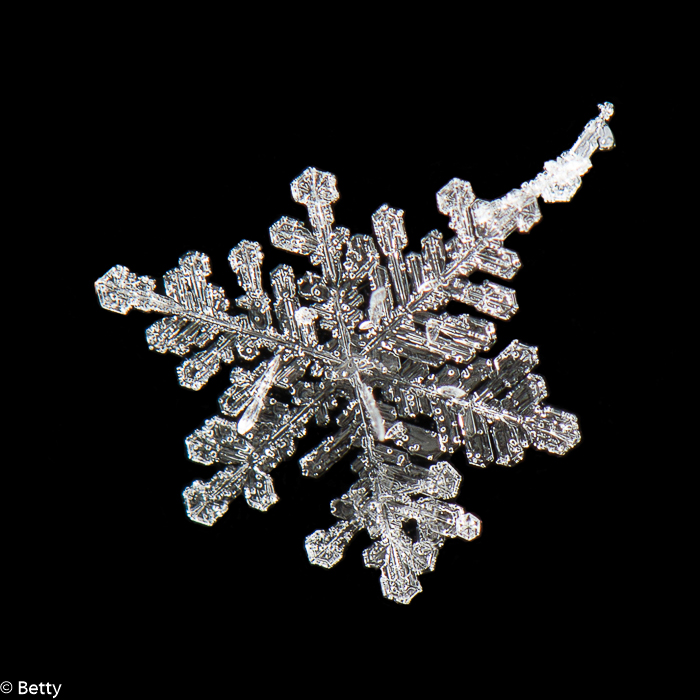 sneeuwkristal (6 van 7).jpg - Sneeuwkristallen