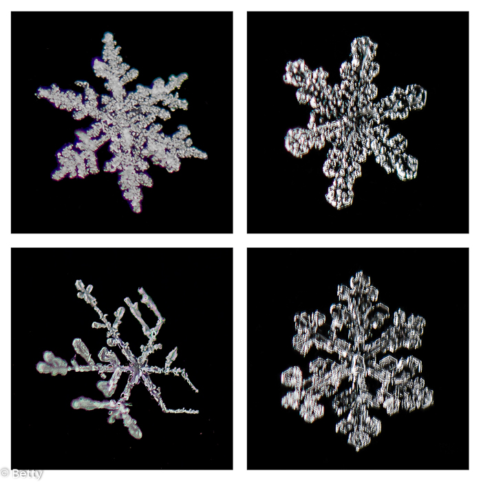sneeuwkristal (7 van 7).jpg - Sneeuwkristallen