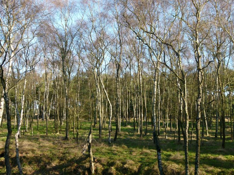 P1050034.JPG