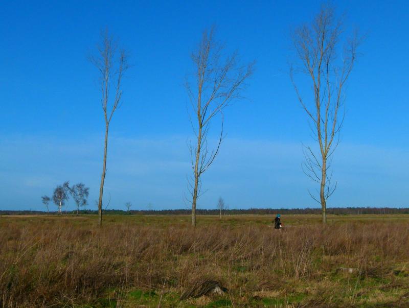 P1050080.JPG