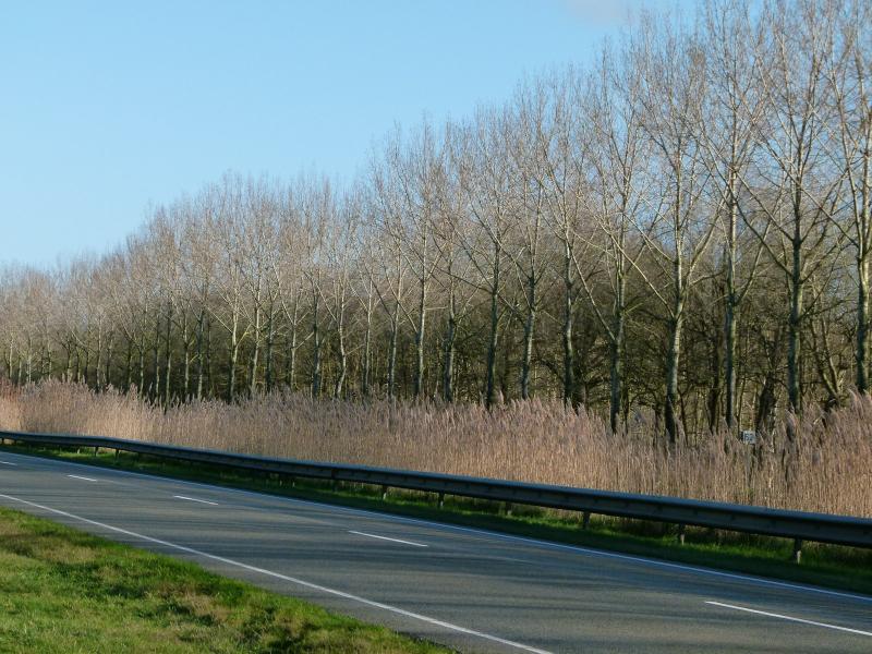 P1050091.JPG