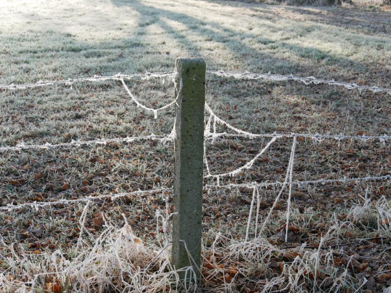 IMG_3197.JPG - Winterse kiekejs