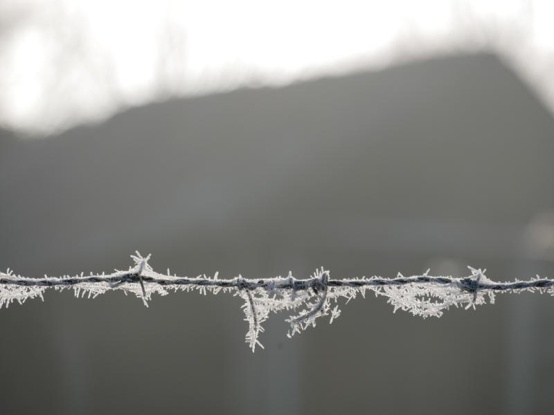 IMG_3198.JPG - Winterse kiekejs