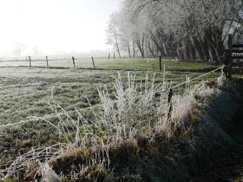 IMG_3202.JPG - Winterse kiekejs