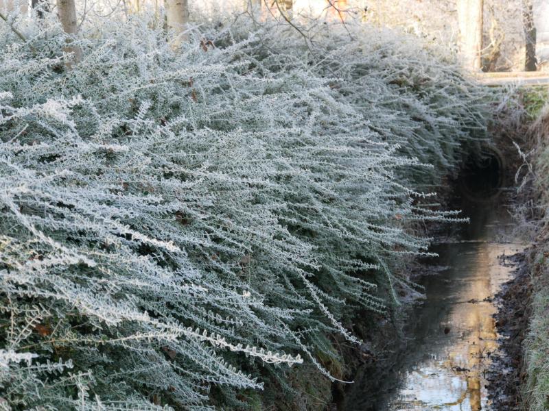 IMG_3208.JPG - Winterse kiekejs