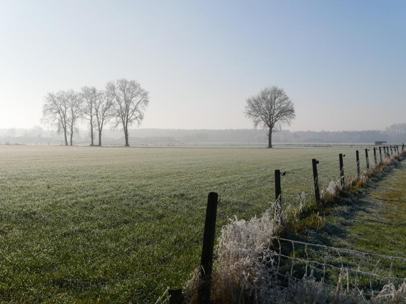 IMG_3214.JPG - Winterse kiekejs