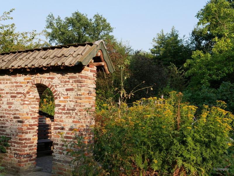 bdimage00009.JPG - Immenhof