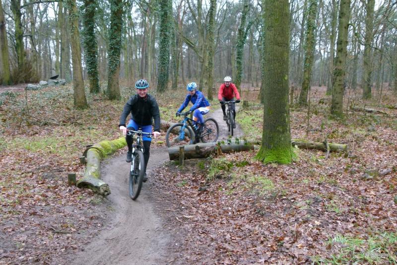 bdimage00002.JPG - Loonse en Drunense duinen