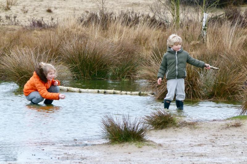 bdimage00011.JPG - Loonse en Drunense duinen