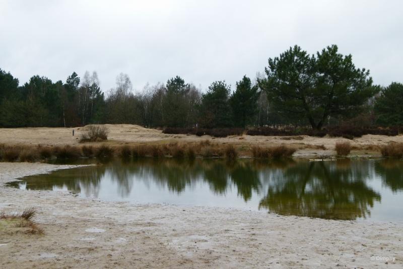 bdimage00015.JPG - Loonse en Drunense duinen