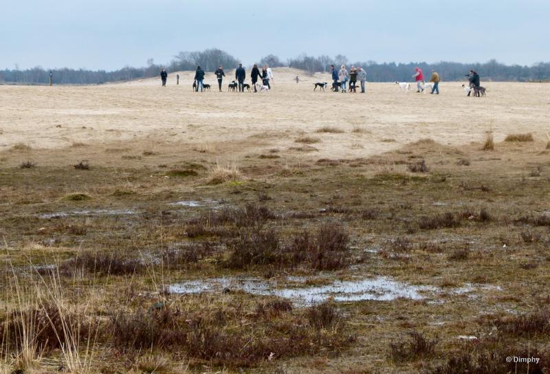 bdimage00016.JPG - Loonse en Drunense duinen