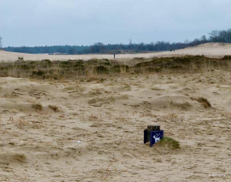 bdimage00018.JPG - Loonse en Drunense duinen