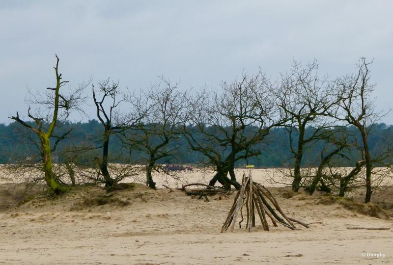 bdimage00027.JPG - Loonse en Drunense duinen