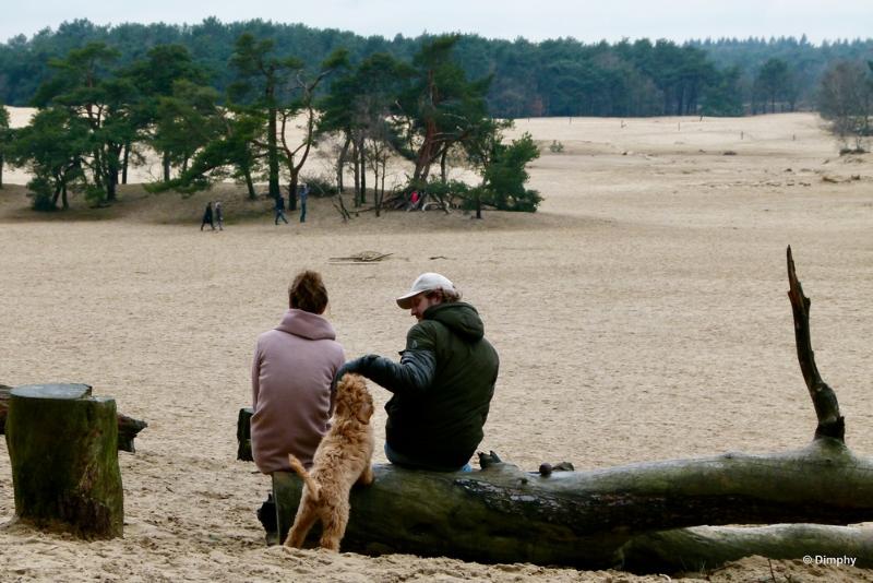 bdimage00029.JPG - Loonse en Drunense duinen