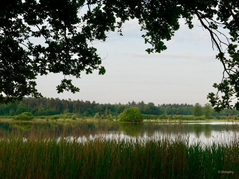 bdimage00008.JPG - Wintelre 2018 op stap met de boswachter