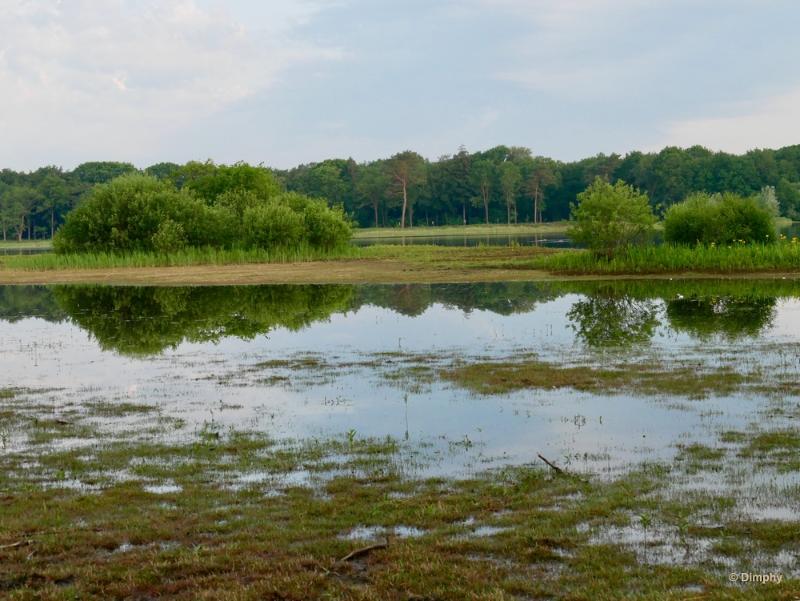 bdimage00009.JPG - Wintelre 2018 op stap met de boswachter