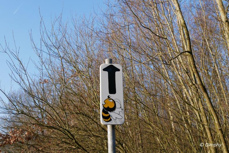 bd_P1120157.JPG - Snertwandeling 2018