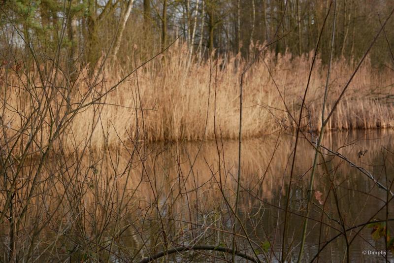 bdimage00005.JPG - Weert ijzeren man 2018