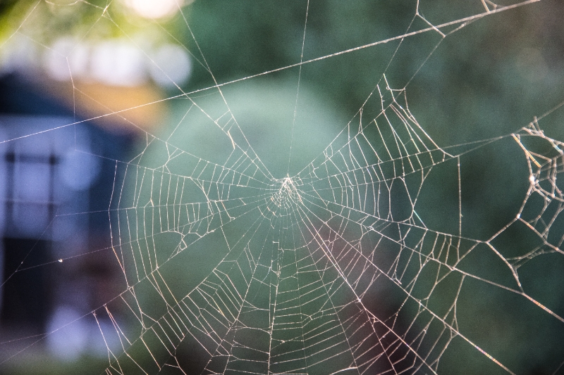 Ketting 8-018.jpg - 8.17 Riek Motivatie: Ik zie een bol garen en stopnaald en denk meteen aan sokken stoppen, mooi het gat dicht weven. In de natuur kan een spin dat veel mooier als hij zijn web maakt.