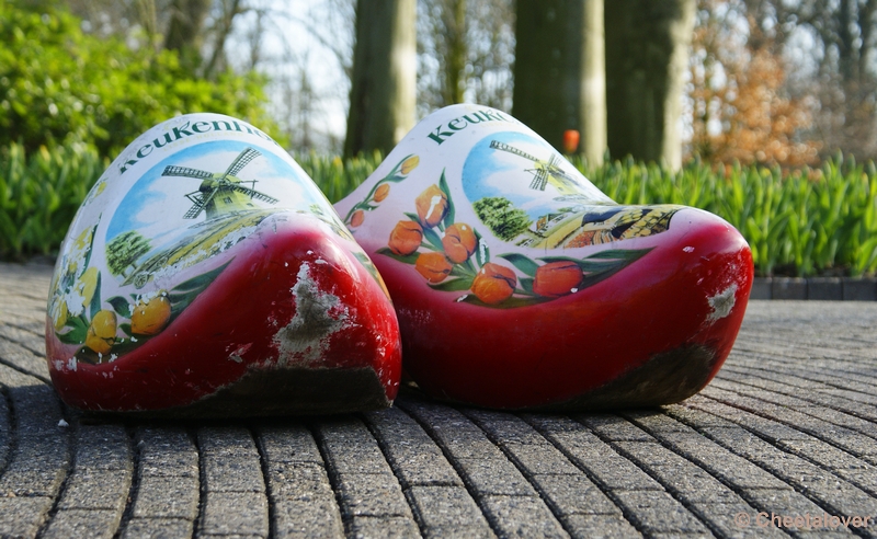 _DSC0073.JPG - Keukenhof