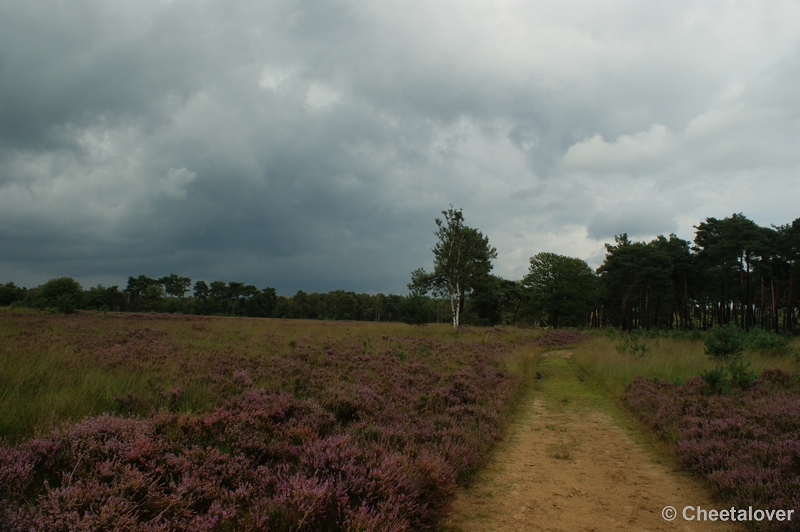 DSC00034.JPG - Kampina Heide