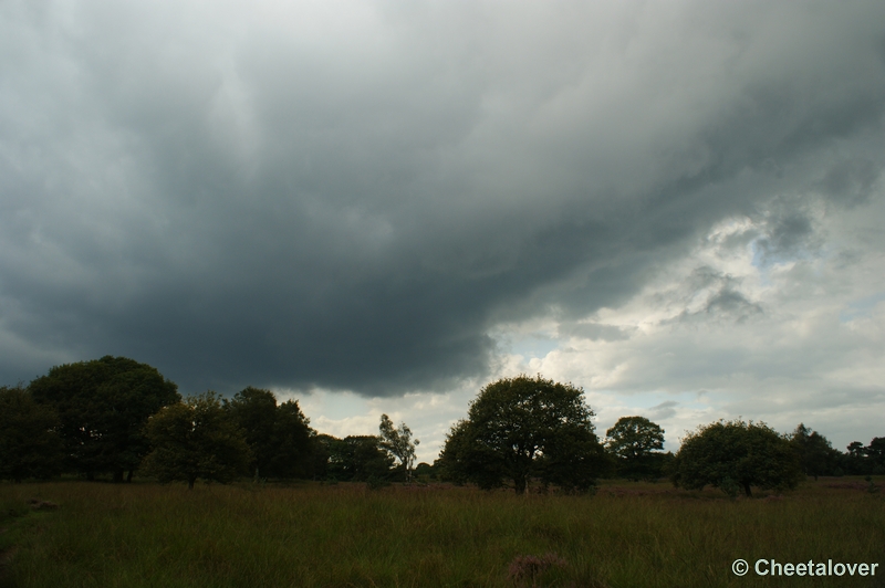 DSC00039.JPG - Kampina Heide