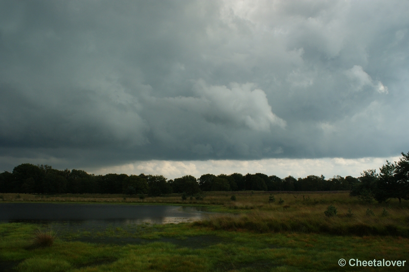 DSC00052.JPG - Kampina Heide