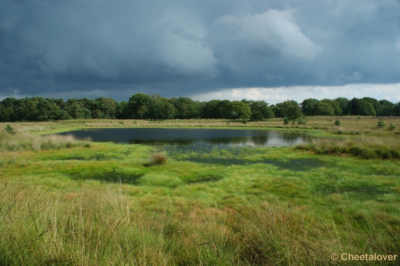 DSC00058.JPG - Kampina Heide