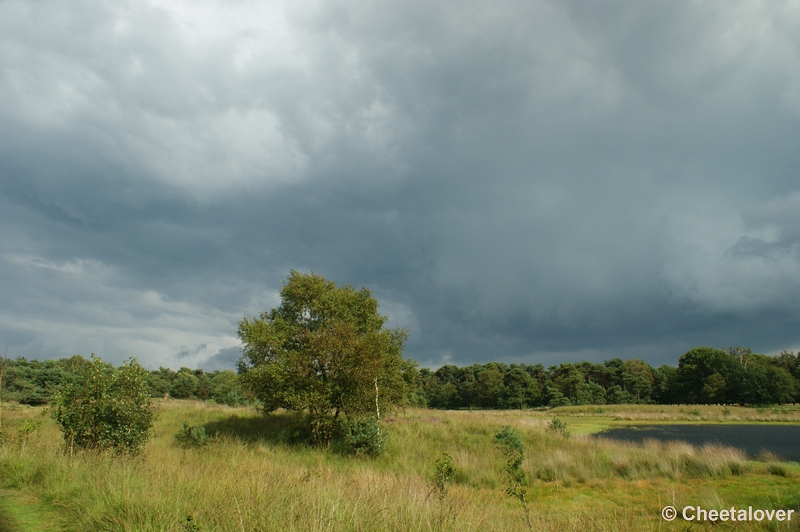 DSC00061.JPG - Kampina Heide