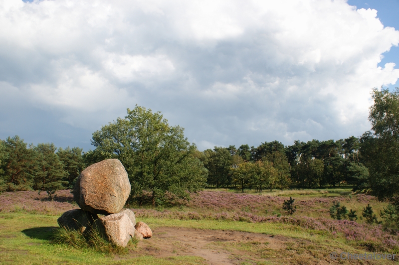 DSC00084.JPG - Kampina Heide