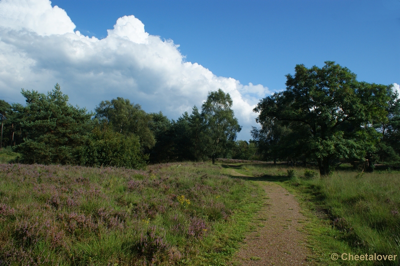 DSC00101.JPG - Kampina Heide