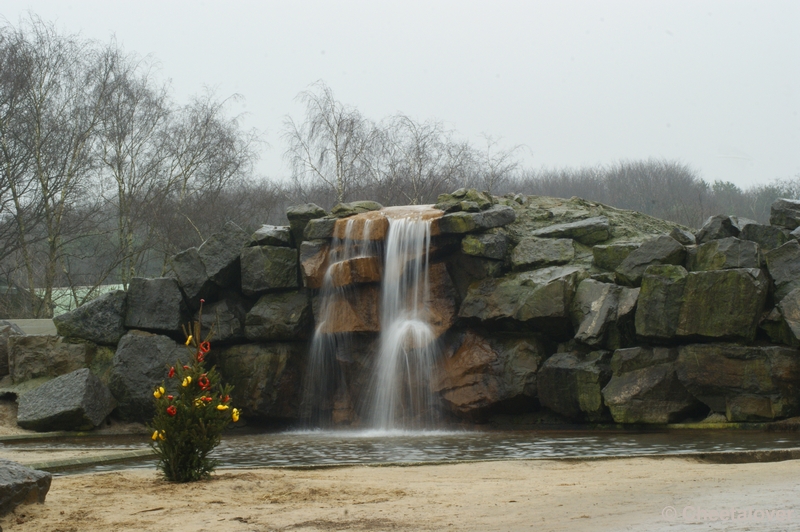 _DSC0039.JPG - Kerstdiner voor de wilde dieren in Safaripark Beekse Bergen