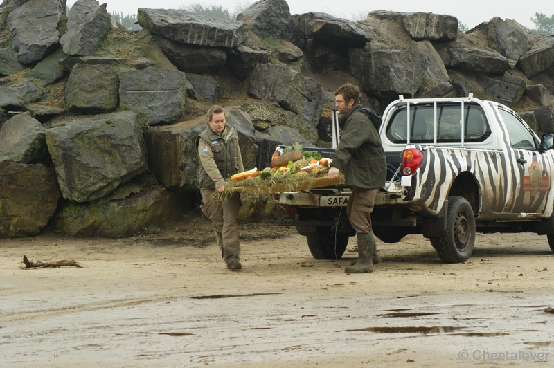 _DSC0047.JPG - Kerstdiner voor de wilde dieren in Safaripark Beekse Bergen