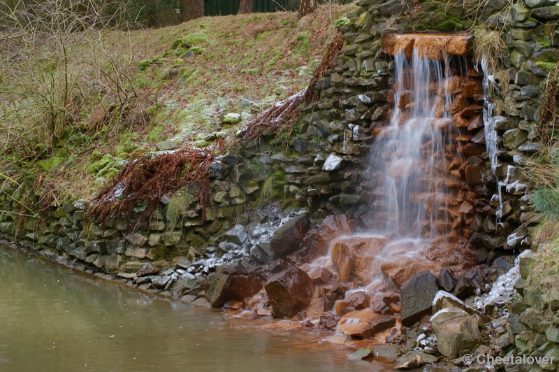 _DSC0196.JPG - Beekse Bergen