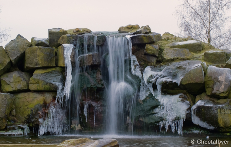 _DSC0339.JPG - Beekse Bergen