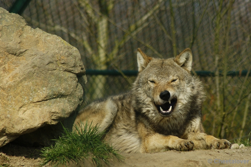 _DSC00015.JPG - Dierenrijk