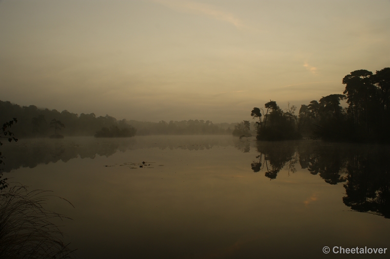 _DSC0004.JPG - Zonsopkomst aan de Oisterwijkse Vennen 'het Groot Goorven' 2 oktober 2011