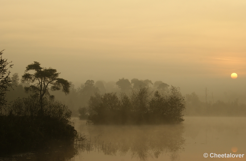 _DSC0018.JPG - Zonsopkomst aan de Oisterwijkse Vennen 'het Groot Goorven' 2 oktober 2011