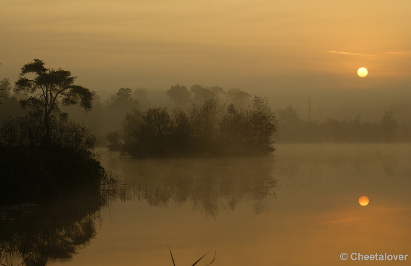 _DSC0022.JPG - Zonsopkomst aan de Oisterwijkse Vennen 'het Groot Goorven' 2 oktober 2011