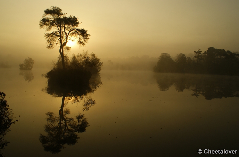 _DSC0065.JPG - Zonsopkomst aan de Oisterwijkse Vennen 'het Groot Goorven' 2 oktober 2011